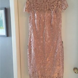 Tadashi Shoji, Size 16, Pale Rosey-Rosegold
